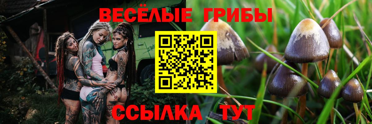 Киров  Галлюциногенные грибы Psilocybine cubensis  Вход с VPN  Псилоцибиновые грибы ЛСД 
